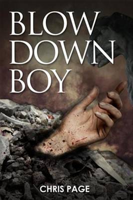 Book cover for Blow Down Boy