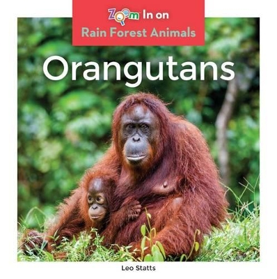 Book cover for Orangutans