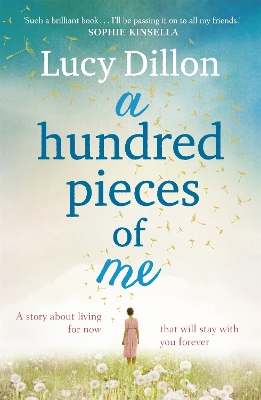 Book cover for A Hundred Pieces of Me
