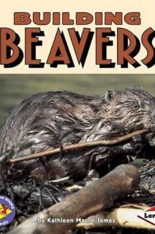 Cover of Building Beavers