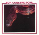 Book cover for Boa Constrictors