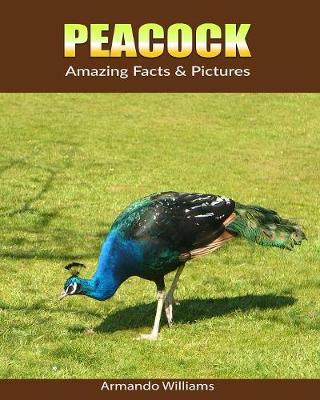 Book cover for Peacock