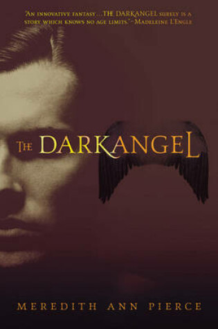 Cover of The Darkangel