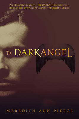 Book cover for The Darkangel