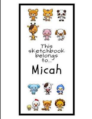 Book cover for Micah Sketchbook