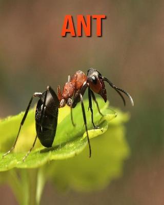 Cover of Ant