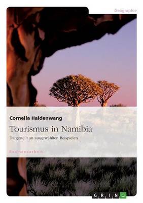 Book cover for Tourismus in Namibia