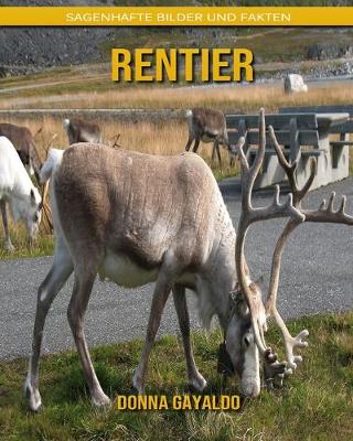 Book cover for Rentier