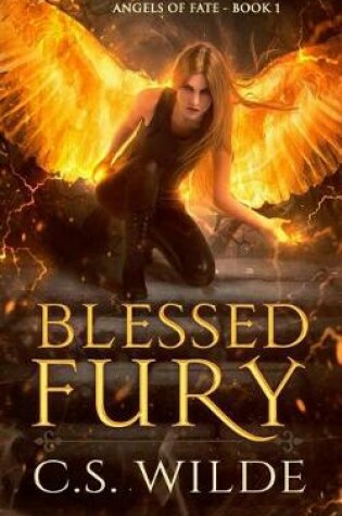 Cover of Blessed Fury