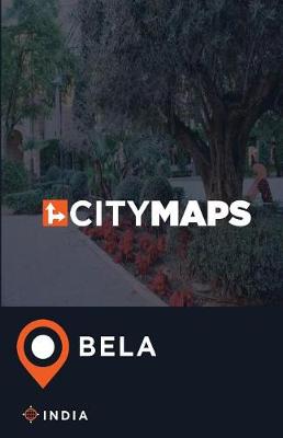 Book cover for City Maps Bela India