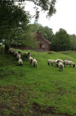 Cover of A Flock of Sheep on a Hill in Norway