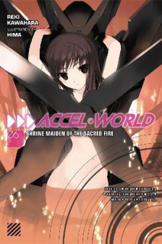 Cover of Accel World, Vol. 6 (Novel)