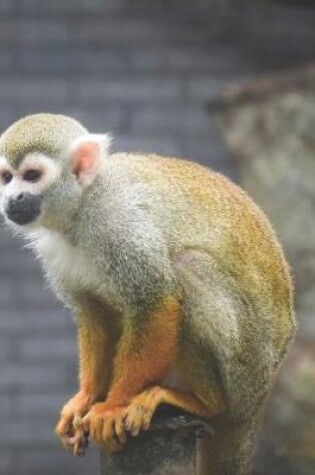 Cover of Monkey Sitting on a Log - Blank Lined Notebook