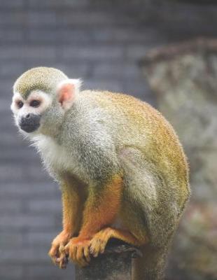 Book cover for Monkey Sitting on a Log - Blank Lined Notebook