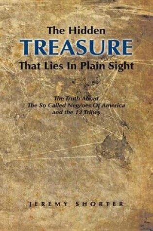 Cover of The Hidden Treasure That Lies in Plain Sight