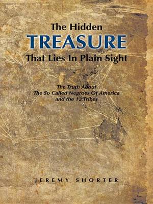 Book cover for The Hidden Treasure That Lies in Plain Sight