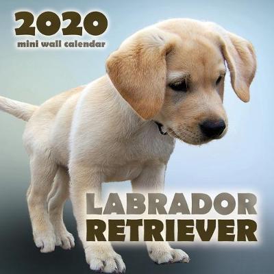 Book cover for Labrador Retriever 2020 Mini Wall Calendar