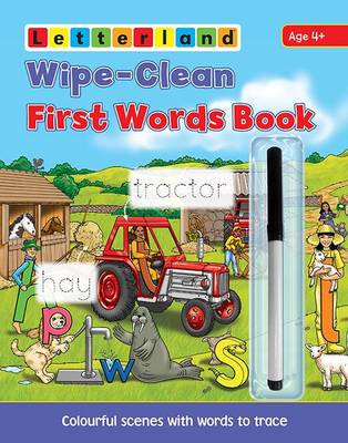 Book cover for Wipe Clean First Words Book