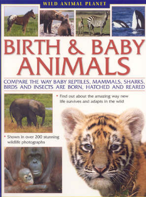 Book cover for Wild Animal Planet: Birth and Baby Animals*** Out of Stock