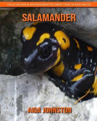 Book cover for Salamander