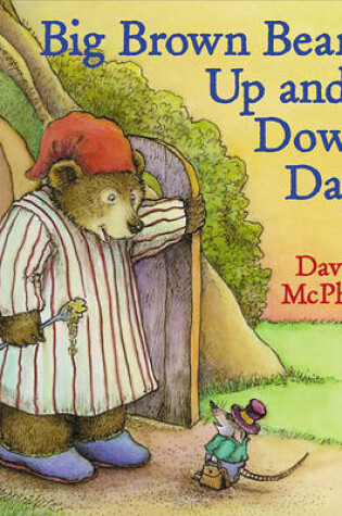 Cover of Big Brown Bear's Up and Down Day
