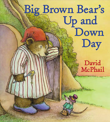 Book cover for Big Brown Bear's Up and Down Day