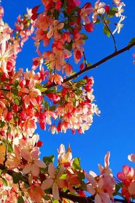 Book cover for Journal Flowering Tree Spring Blossoms