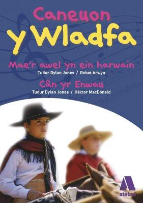 Book cover for Caneuon y Wladfa