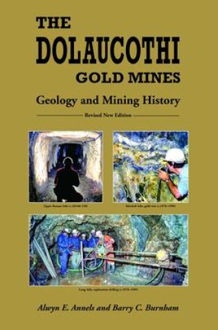 Cover of The Dolaucothi Gold Mines