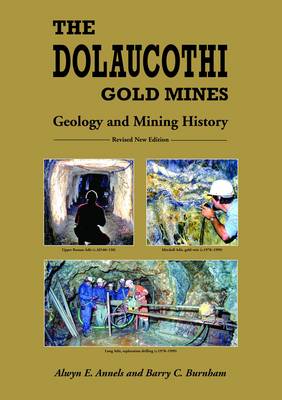 Cover of The Dolaucothi Gold Mines