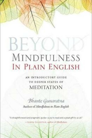 Cover of Beyond Mindfulness in Plain English