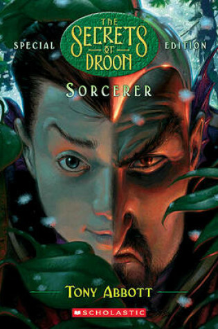 Cover of Sorcerer