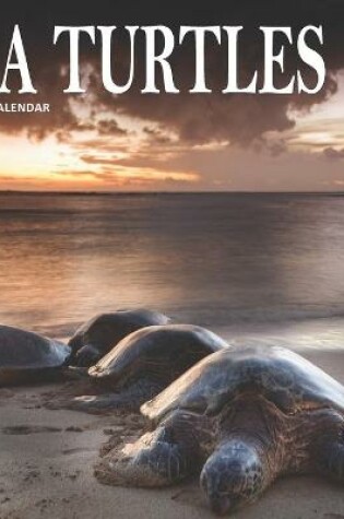 Cover of Sea Turtles