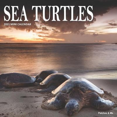 Cover of Sea Turtles