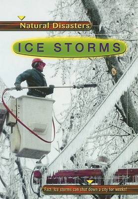 Book cover for Ice Storms