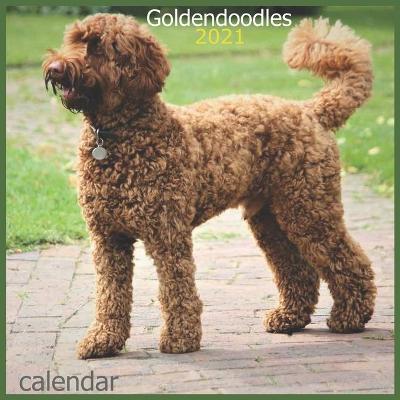 Book cover for Goldendoodles