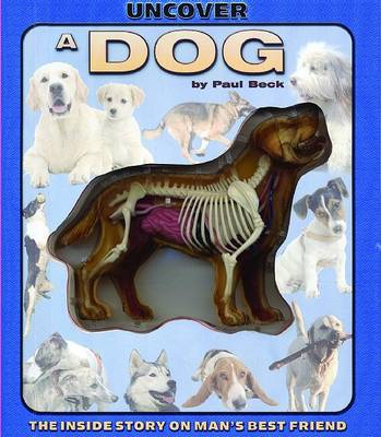 Book cover for Uncover a Dog