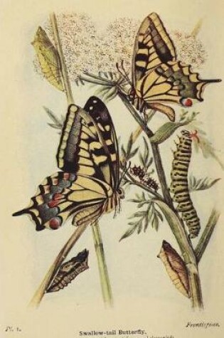 Cover of Yellow Papilio Machaon Swallowtail Butterfly Illustration Journal