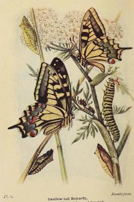 Book cover for Yellow Papilio Machaon Swallowtail Butterfly Illustration Journal