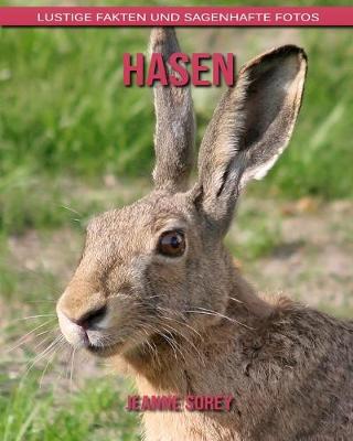 Book cover for Hasen