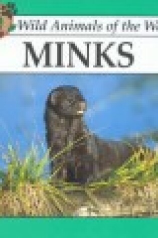 Cover of Minks