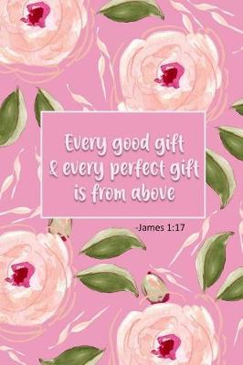 Book cover for Every Good Gift & Every Perfect Gift Is from Above - James 1
