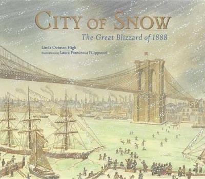 Book cover for City of Snow