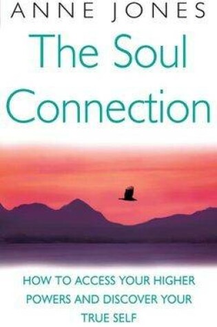 Cover of The Soul Connection