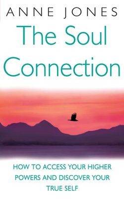 Book cover for The Soul Connection