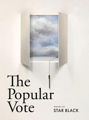 Book cover for The Popular Vote