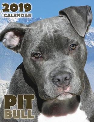 Book cover for Pit Bull 2019 Calendar