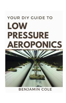 Book cover for Your DIY Guide Low Pressure Aeroponics