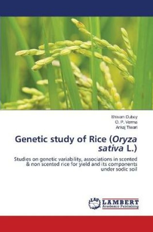 Cover of Genetic study of Rice (Oryza sativa L.)