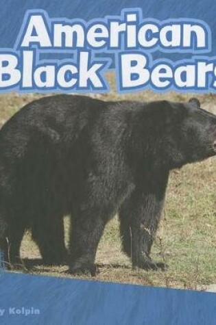 Cover of American Black Bears (Bears)